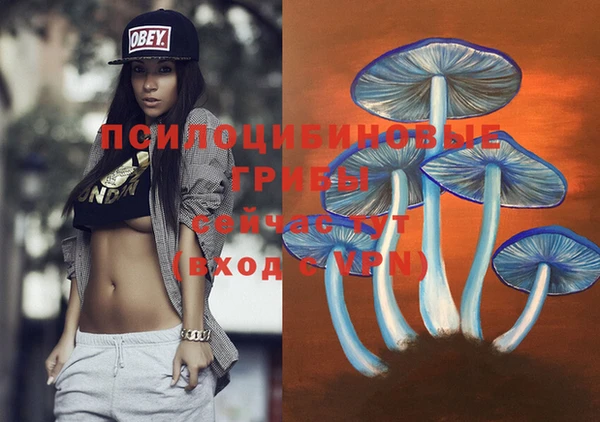 твердый Навашино